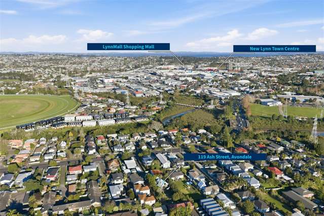 Huge Land & Potential!