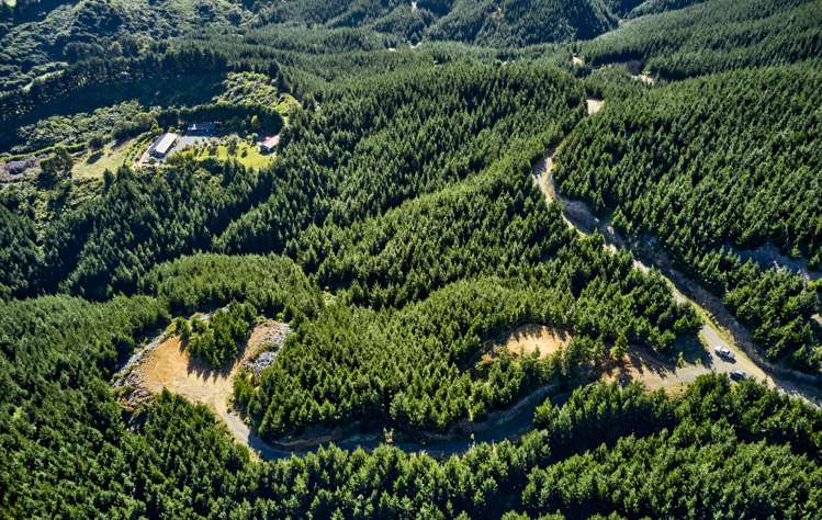 Fernhill Drive Judgeford_10