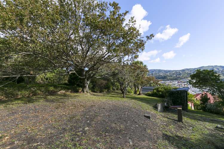 149 Coromandel Street Newtown_10