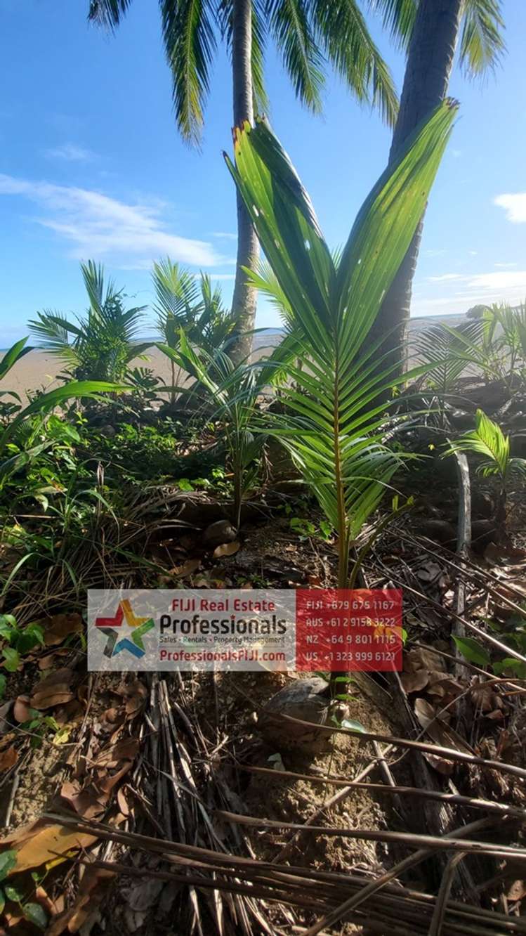 Address withheld Savusavu_23