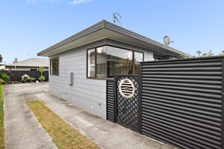 52b Crane Street Mount Maunganui_0