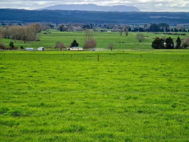 1035 Troutbeck Road Murupara Surrounds_4