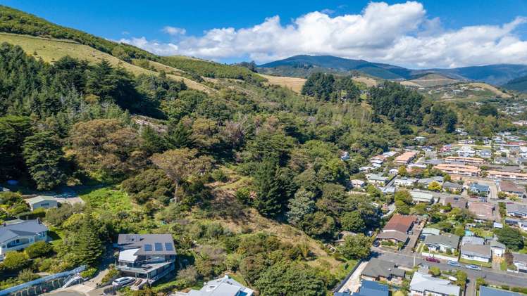 101 Cambria Street The Wood_3