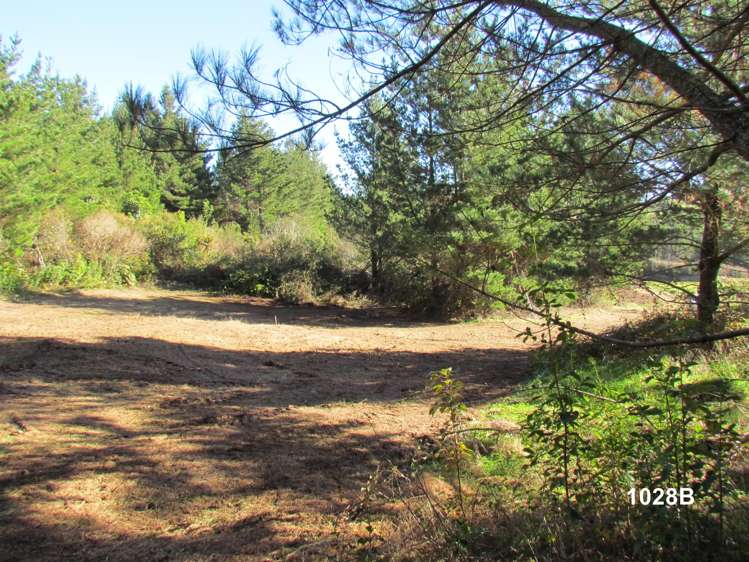 1028 A,B,C McIvor Road Rotoma_16