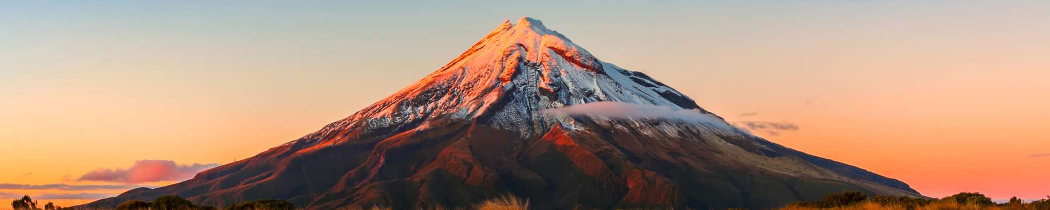 Tall Poppy Real Estate (Licensed: REAA 2008) - South Taranaki