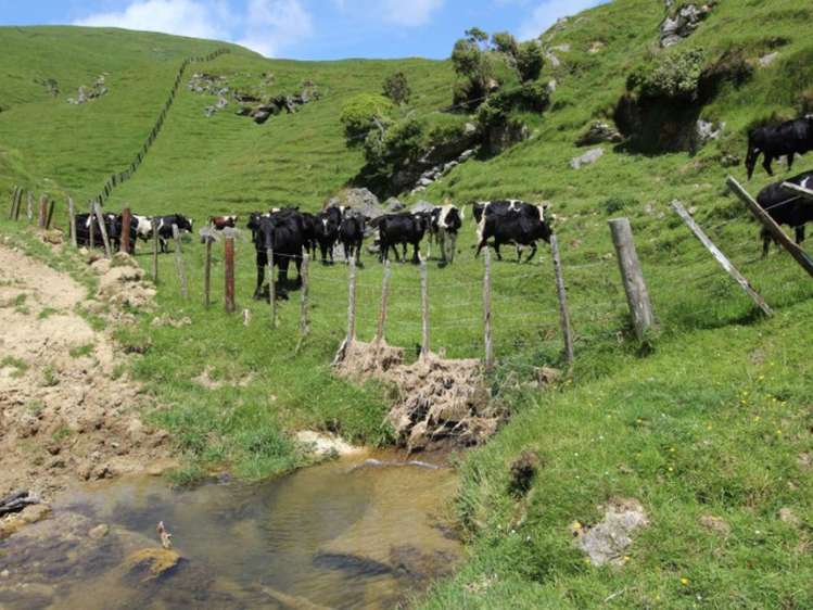 934 Coonoor Road Pahiatua_11