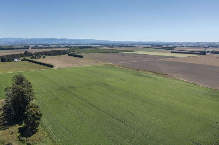 1041 Tikokino Road Waipawa_30