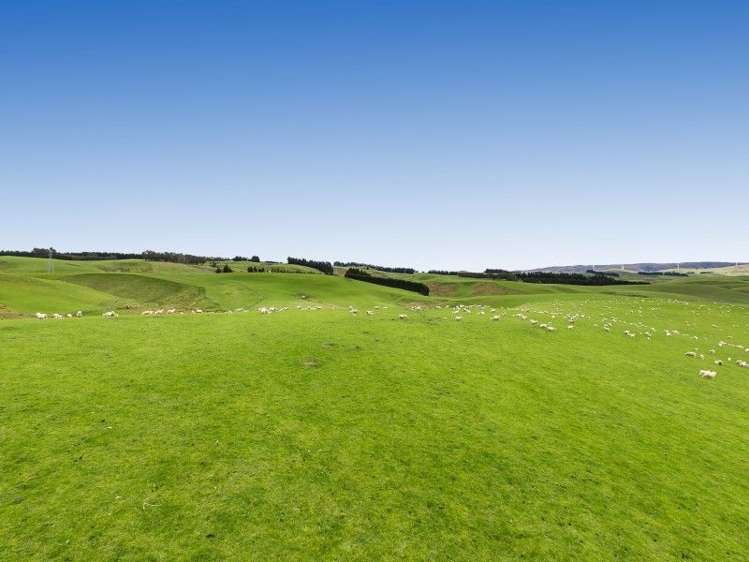 1680 Mahinerangi Road Waipori_23