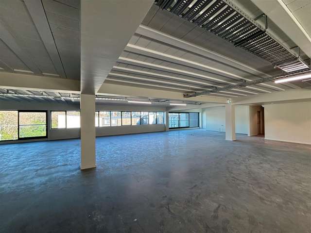 11-13 Falcon Street Parnell_1