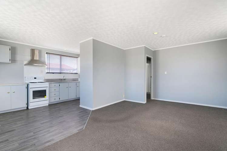 33 Raupo Street 1200_7