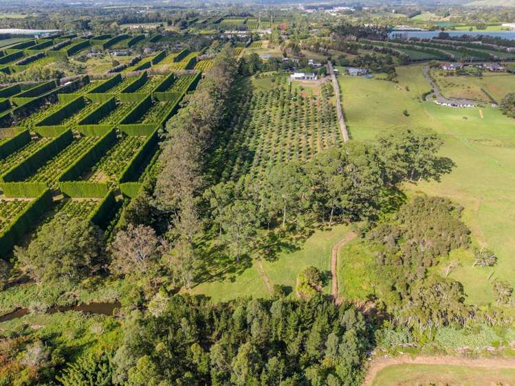89 Conifer Lane Kerikeri_19