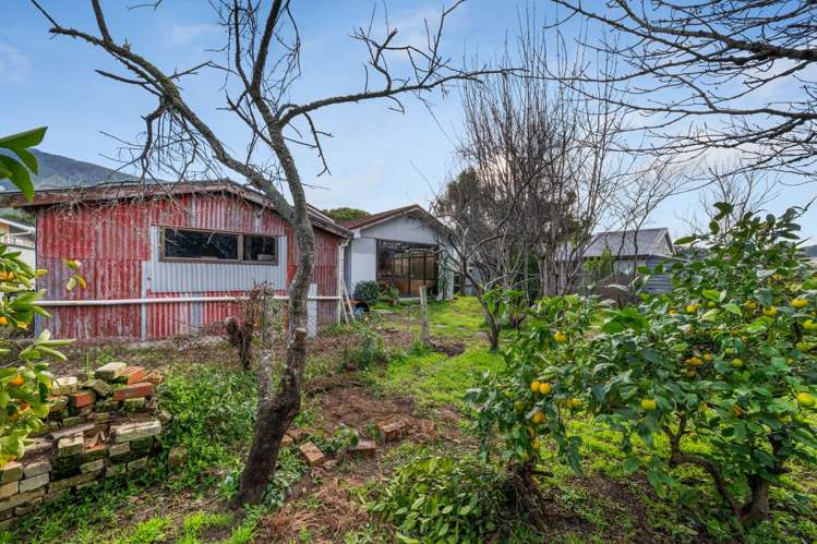 14 Market Street Picton_10