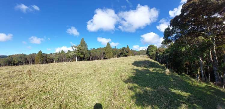 Lot 2/2084 Waiare Road Kaeo_22
