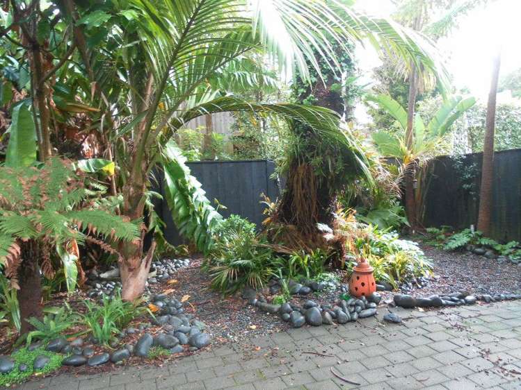 2b Webber Street Westmere_5