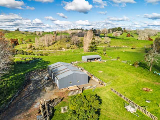 63B Ludbrook Road Pakaraka_3