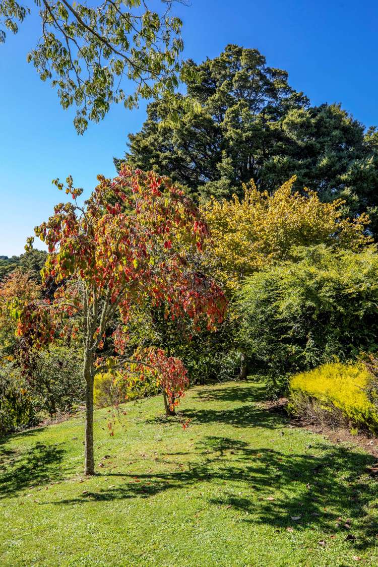 145b Helenslee Road Pokeno_43