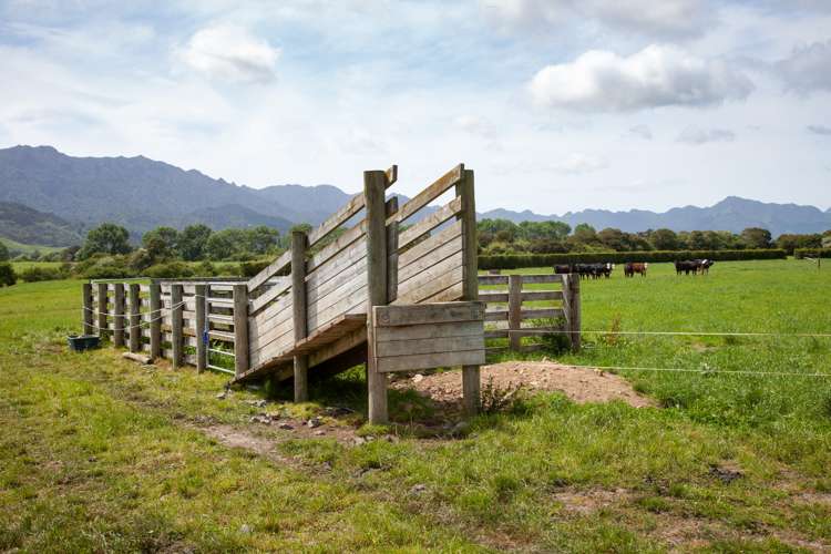 231a Stanley Road Te Aroha_6