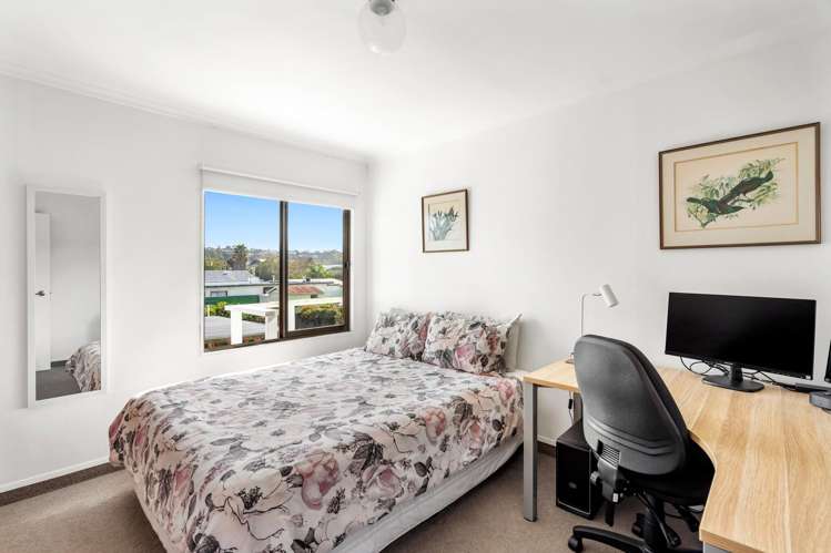 59 Nelson Crescent Napier South_19