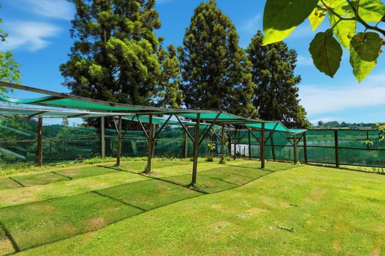 263 Old Coach Road Paengaroa_39