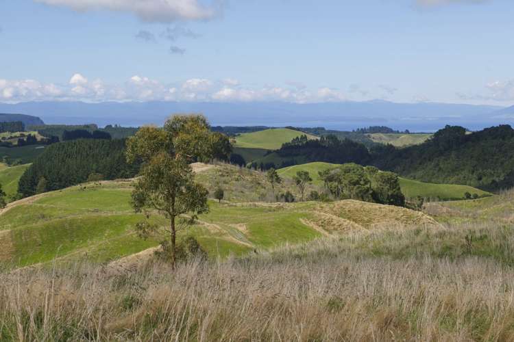 459 Otake Road Marotiri_3