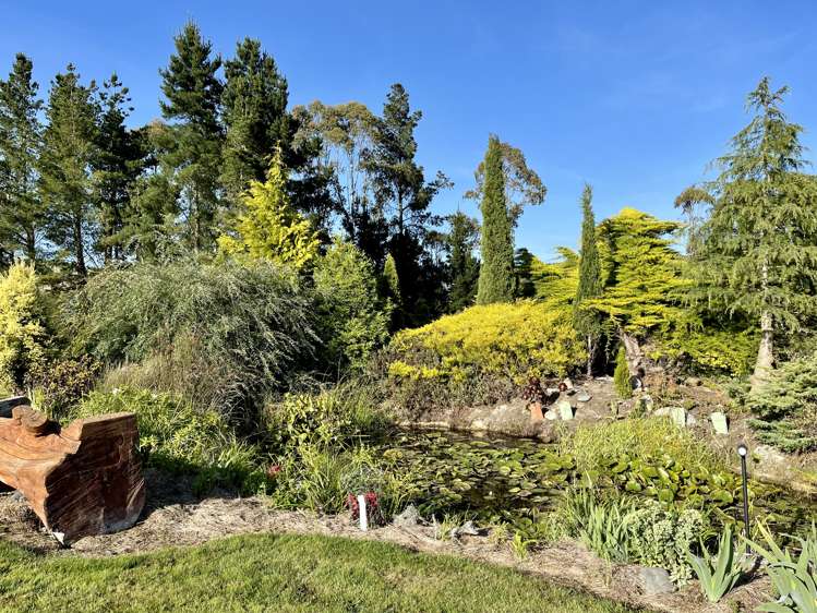 22 Reid Road Herbert_32