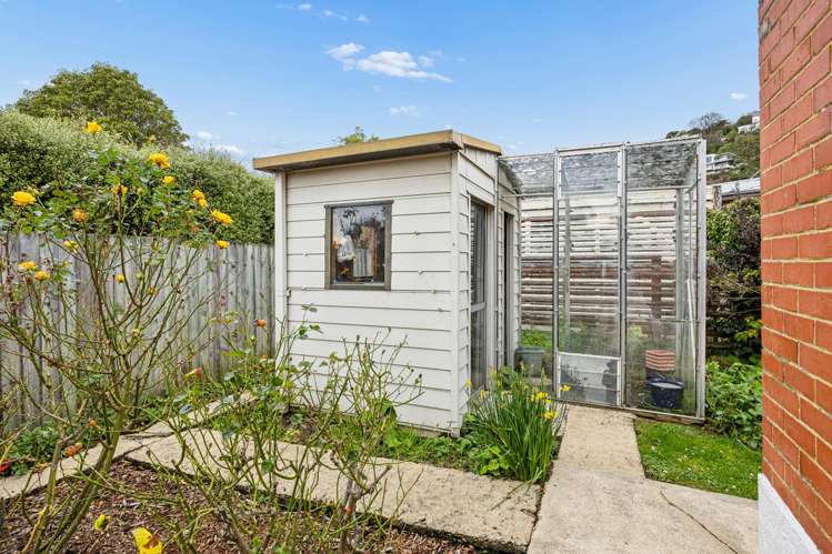 11 Hobson Street St Clair_21