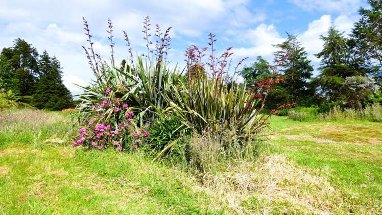 20 Stewart Street Waimangaroa_3