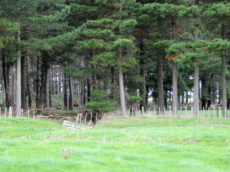 591 Wanganui Road Marton_23