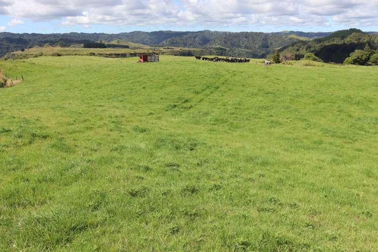 1 Waitaanga Road Ahititi_4