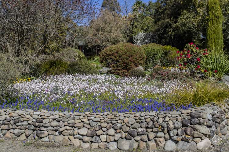 40 Maskells Road Balcairn_23