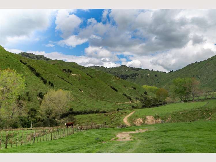 368 Kirikau Valley Road Ruapehu_13