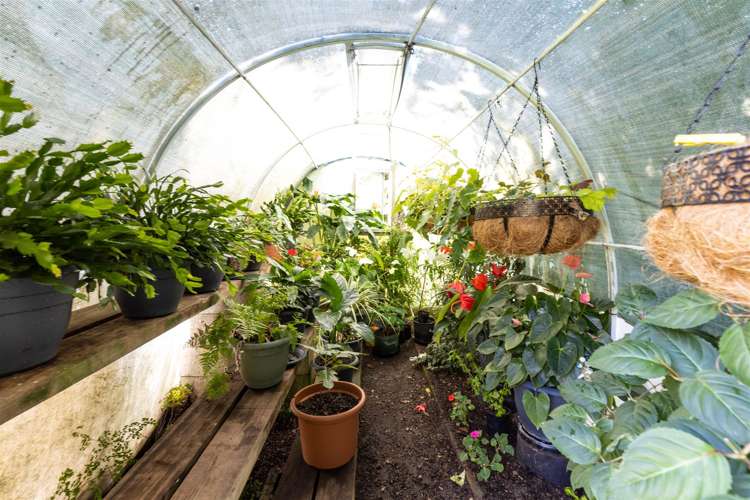 188 Mount Riley Road Havelock_41