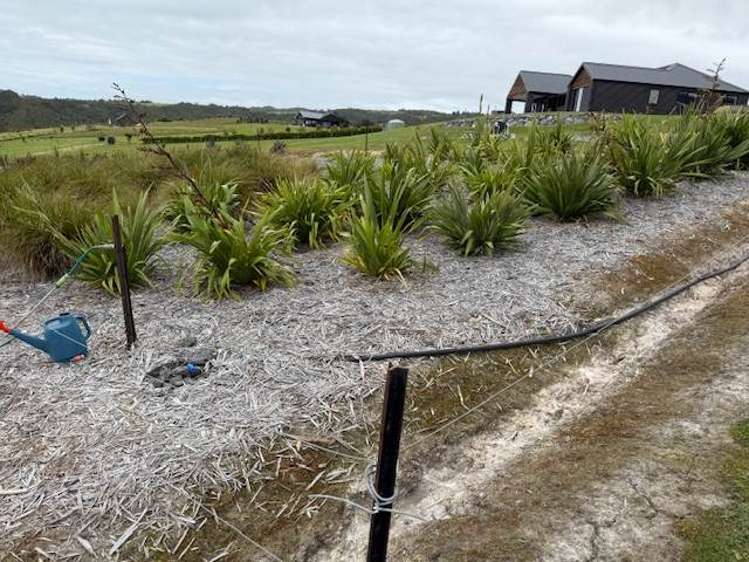 717 Millbrook Road Waipu_37