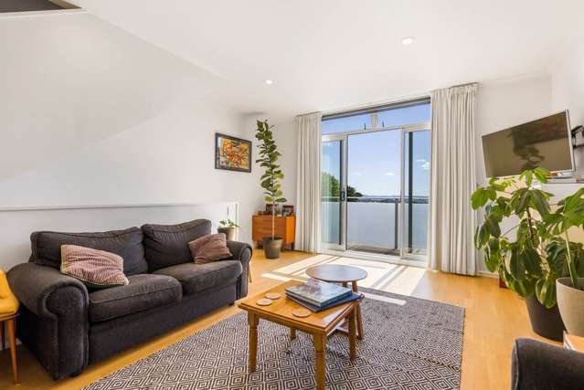 25a George Street Mount Eden_2