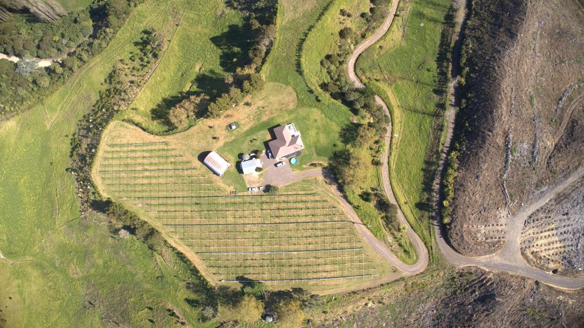 307 Campbell Road Pukehina_0