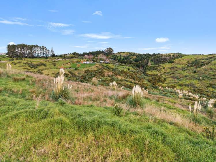 600C Bickerstaffe Road Maungaturoto_9