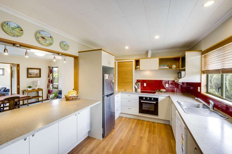 15 Southwark Avenue Tamatea_8