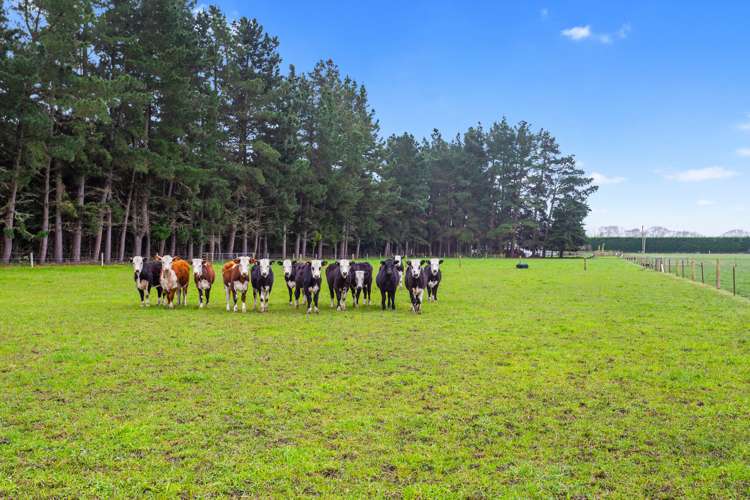 25 Waiau West Road Cheviot_19