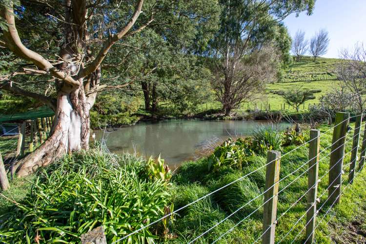 10 Rule Road Dannevirke_24