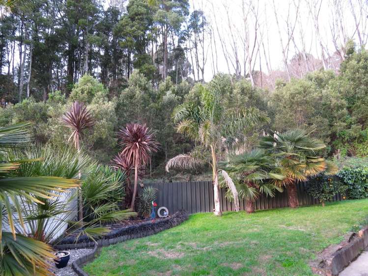 6 Dippie Place Kawerau_5