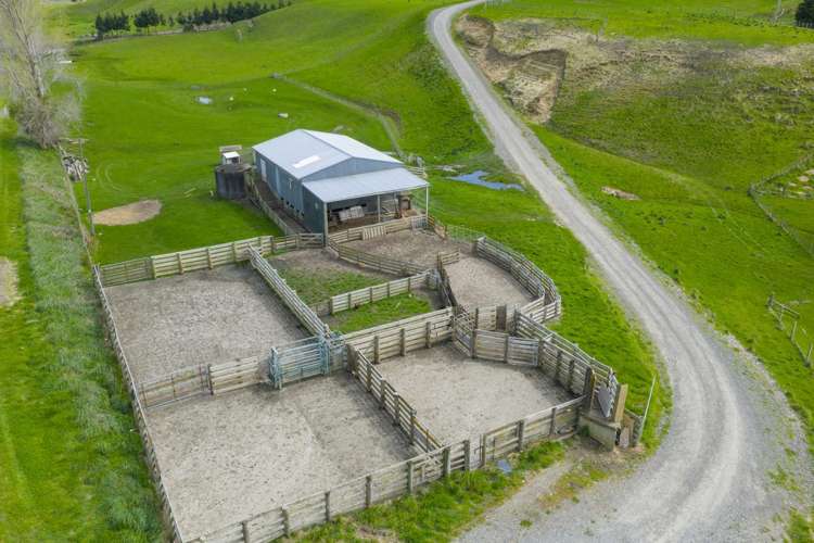 234 Sandon Road Feilding_22