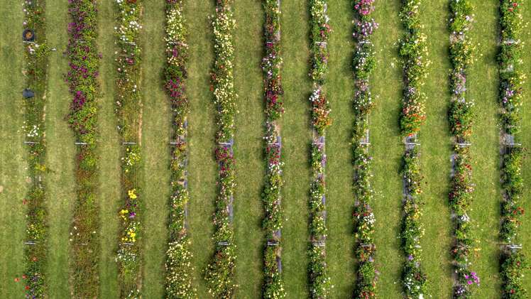 134 Aranui Road Mapua_30