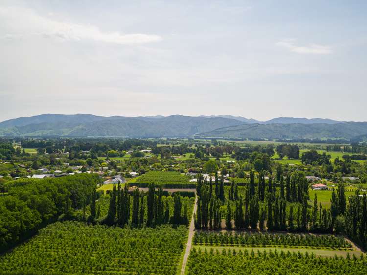 3 Matai Grove Greytown_5