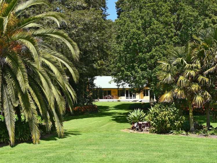 436 Crane Road Kauri_11