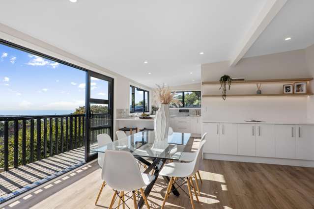 167 Soleares Avenue Mt Pleasant_2