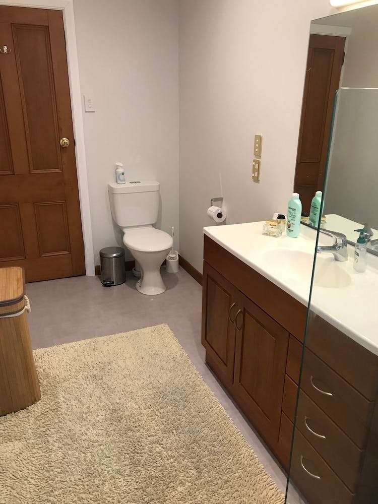 143 Norwood Street Normanby_8