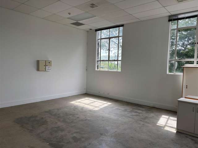 Part Ground Floor 20 Alma Street Hamilton Central_3