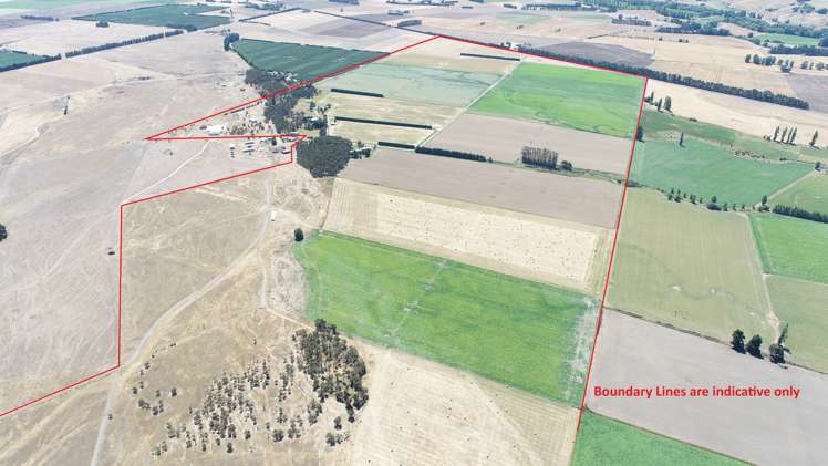 1041 Tikokino Road Waipawa_27