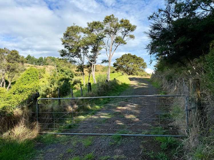 159 Hills Road Raglan_14