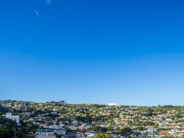 16 Freeling Street Island Bay_3